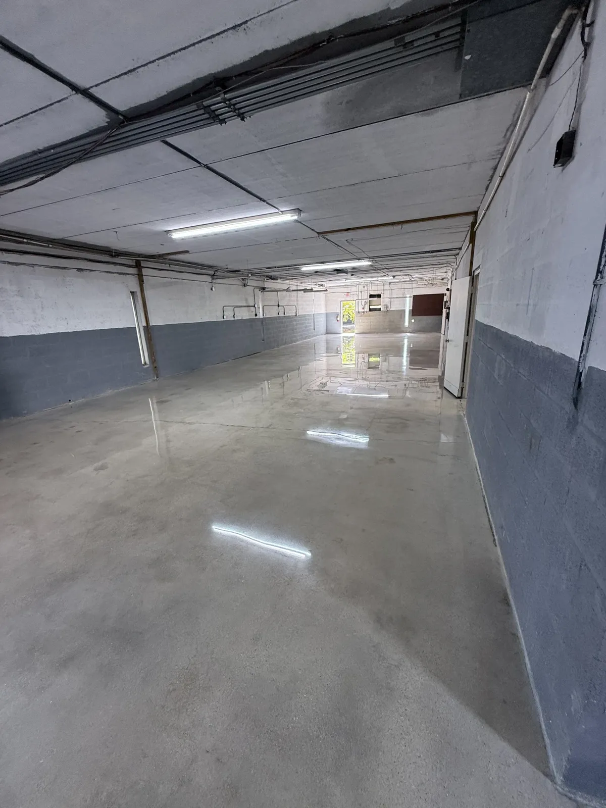 Commercial Polished Concrete — 10,000 Sq Ft Facility