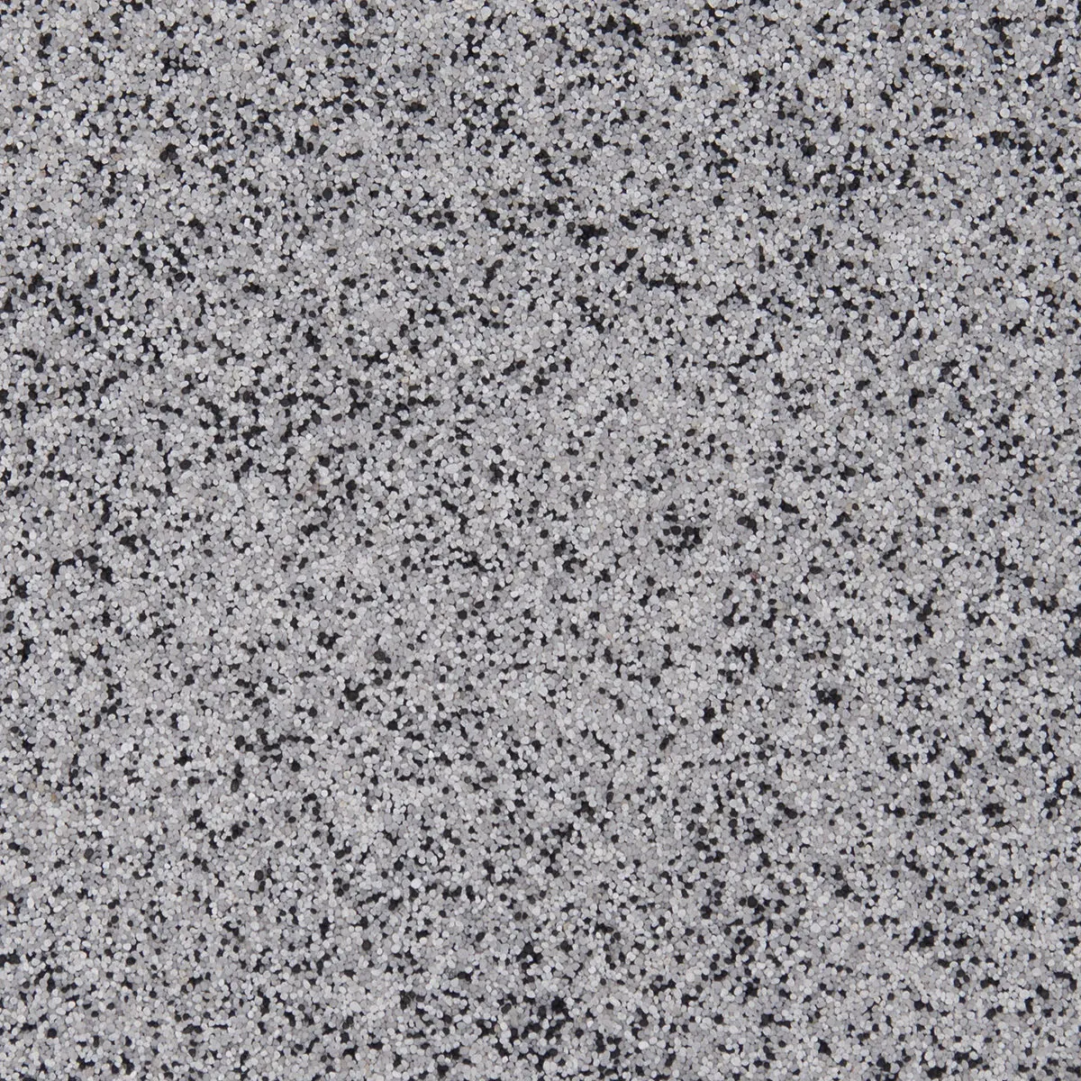 QB-1007 Dalmatian